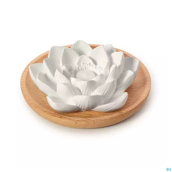 Primavera Duftstein Aroma Lotusbluete 1st