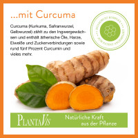 FeuerSturm - Curcuma plus Weihrauch Kapseln FeuerSturm - Curcuma plus Weihrauch Kapseln
