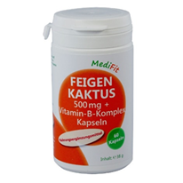 Feigenkaktus 500mg + Vitamin-B-Komplex Kapseln online kaufen bei  Apothekenbote.at - Ihre Versandapotheke aus Wien
