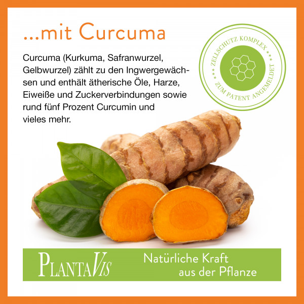 FeuerSturm - Curcuma plus Weihrauch Kapseln