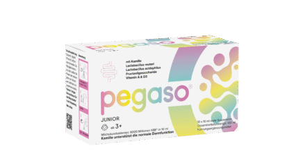 pegasojun