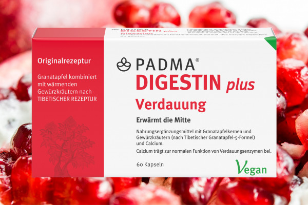 digestinplus