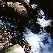 Bachblüten Original  Rock Water 20 ml Bachblüten Original  Rock Water 20 ml