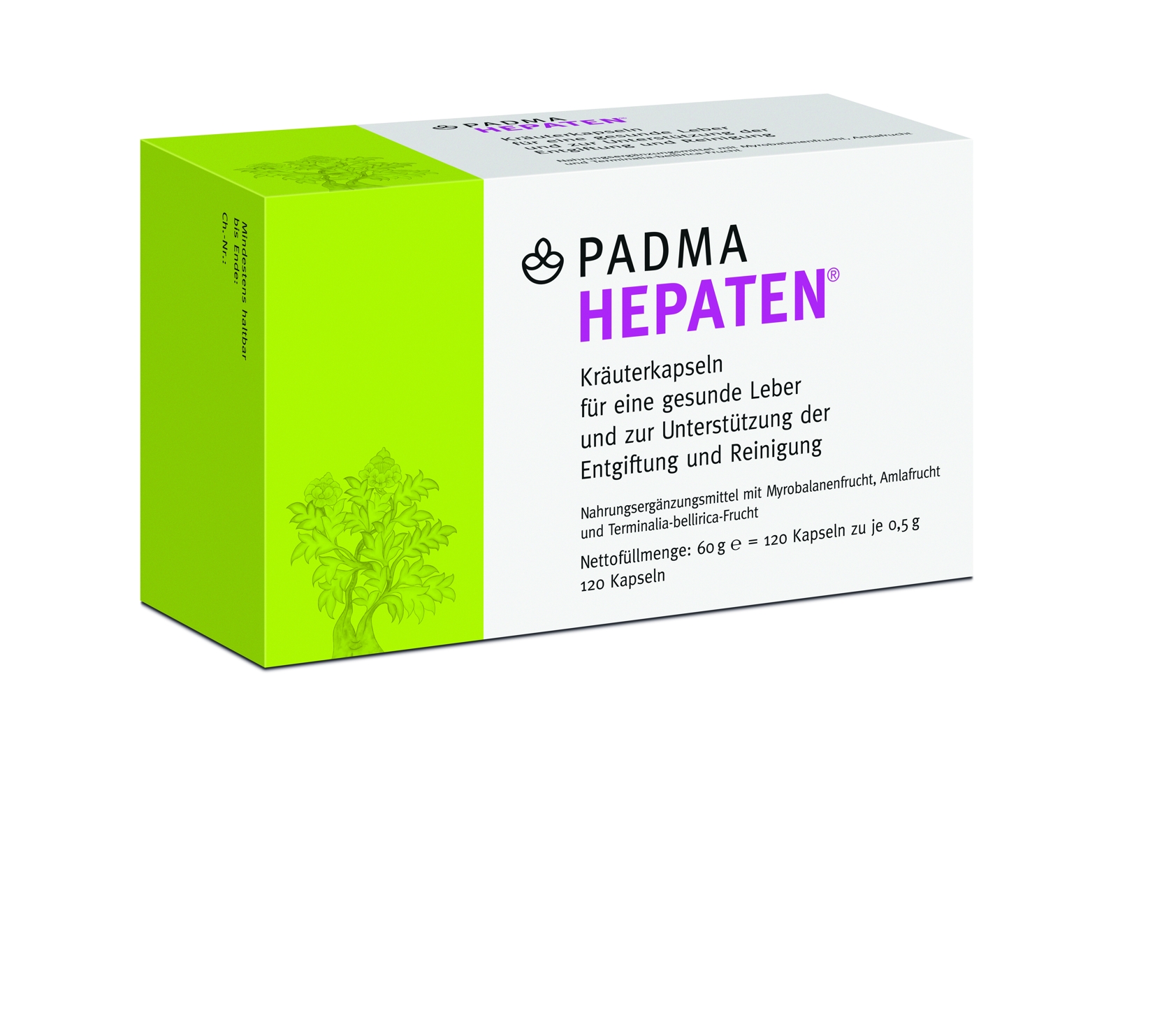 Padma Hepaten