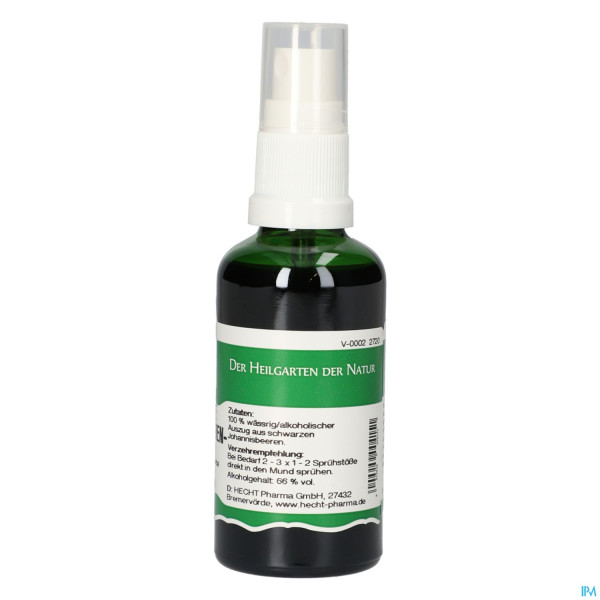 Pater Severin Schwarze Johannisbeere Spray