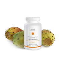 Feigenkaktus Kapseln Feigenkaktus Kapseln