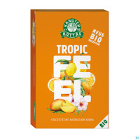 Dr. Kottas Tropic Feeling Tee 20ST Dr. Kottas Tropic Feeling Tee 20ST