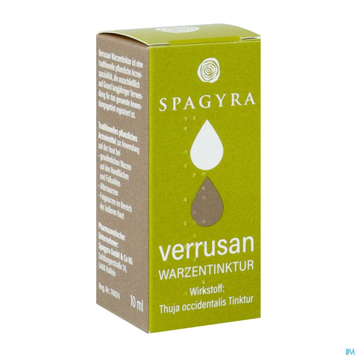 thuja orientalis aurea Thuja Aurea Nana