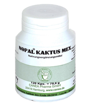 Nopal Kaktus mex. Canea Kapseln online kaufen bei Apothekenbote.at - Ihre  Versandapotheke aus Wien