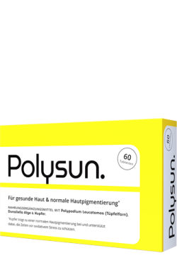 polysun