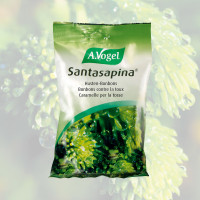 santasapina santasapina