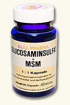 GPH Glucosaminsulfat + MSM 1:1 Kapseln