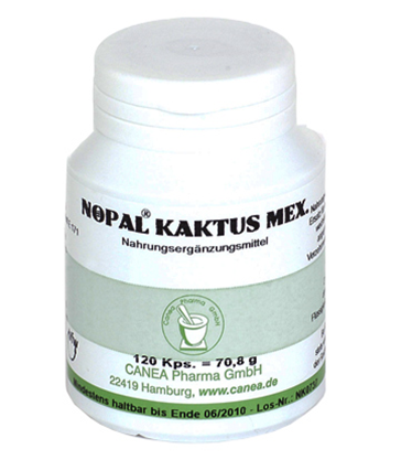 Nopal Kaktus mex. Canea Kapseln