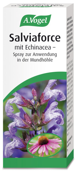 A.Vogel Salviaforce  mit Echinacea  Spray zur Anwendung in der Mundhöhle