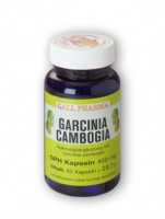 GPH Garcinia Cambogia 400mg Kapseln GPH Garcinia Cambogia 400mg Kapseln