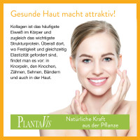 spannkraft spannkraft