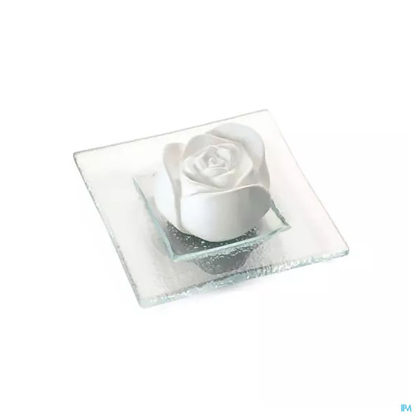 Primavera Duftstein Rosenbluete Auf Glasteller Transparent 1st