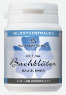 N°42 Kaugummi nach Dr. Bach Selbstvertrauen N°42 Kaugummi nach Dr. Bach Selbstvertrauen